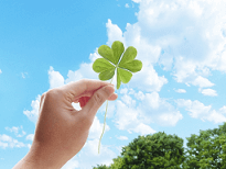 空に四葉のクローバーをかざす