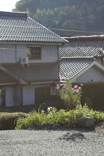 2つ以上の地目を一体利用