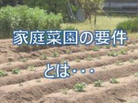 家庭菜園の要件